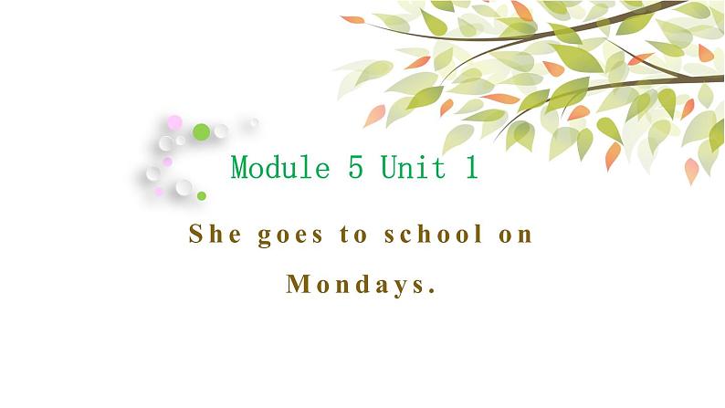 英语外研版3年级下册Module 5 Unit 1 She goes to school on Mondays课件101