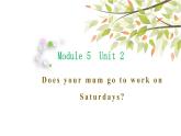 英語外研版3年級下冊Module 5 Unit 2 Does your mum go to work on Saturdays課件1