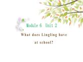英語外研版3年級下冊Module 6 Unit 2 What does Lingling have at school課件1