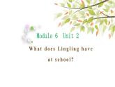 英语外研版3年级下册Module 6 Unit 2 What does Lingling have at school课件1