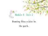 英语外研版3年级下册Module 8 Unit 2 Daming flies a kite in the park课件1