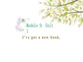 英语外研版3年级下册Module 9 Unit 1 I've got a new book课件1