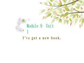 英語外研版3年級(jí)下冊(cè)Module 9 Unit 1 I've got a new book課件1