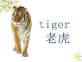 英語外研版3年級(jí)下冊(cè)Module 9 Unit 1 I've got a new book課件1
