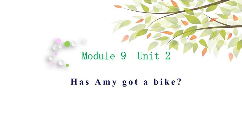 英语外研版3年级下册Module 9 Unit 2 Has Amy got a bike课件101