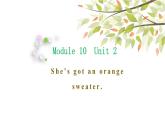 英语外研版3年级下册Module 10 Unit 2 She's got an orange sweater课件1