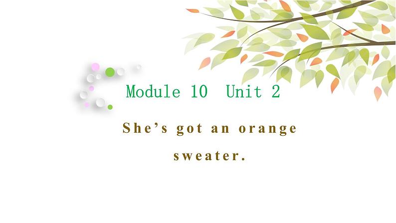 英语外研版3年级下册Module 10 Unit 2 She's got an orange sweater课件101