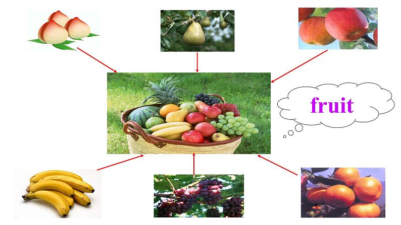 外研版三年级下册 Module 4 Unit 1 We'll pick fruit.  课件 (共24张PPT)＋教案＋素材04