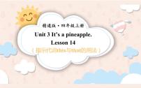 小学Lesson 14教课内容课件ppt