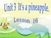 四年級(jí)上冊(cè)英語(yǔ)課件-Unit3 It's a pineapple.  Lesson  16 人教精通版
