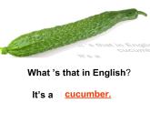 四年級(jí)上冊(cè)英語(yǔ)課件-Unit3 It's a pineapple.  Lesson  16 人教精通版
