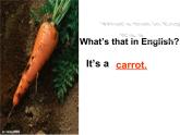 四年級(jí)上冊(cè)英語(yǔ)課件-Unit3 It's a pineapple.  Lesson  16 人教精通版