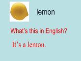 四年級(jí)上冊(cè)英語(yǔ)課件-Unit3 It's a pineapple.  Lesson 16 人教精通版