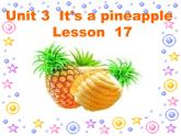 四年级上册英语课件-Unit3 It's a pineapple.  Lesson 17人教精通版