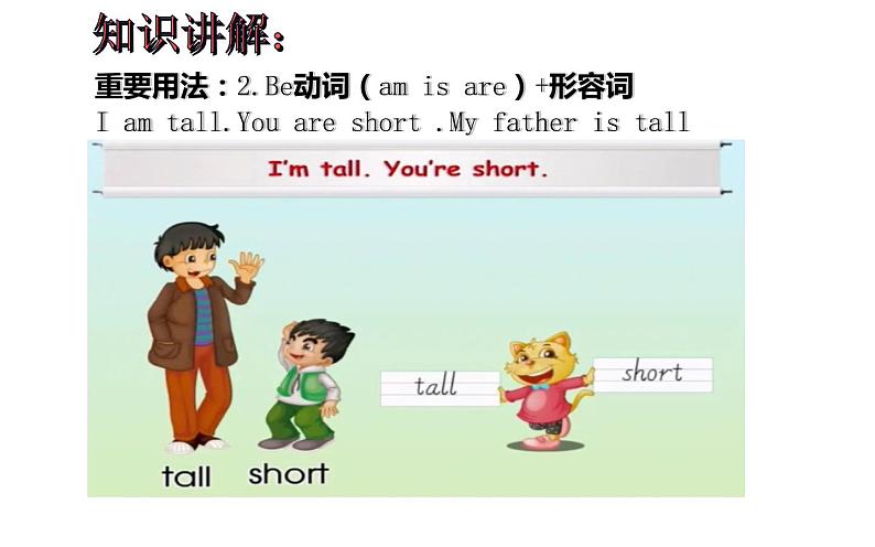 四年级上册英语课件-Unit6   I'm tall.  人教精通版05