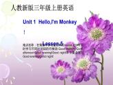 三年级上册英语课件-Unit 1 Hello! I’m Monkey. Lesson 5  人教精通版