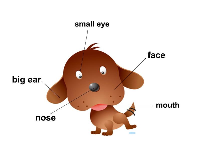 三年级上册英语课件-Unit3  Look at my nose. Lesson  15 人教精通版08