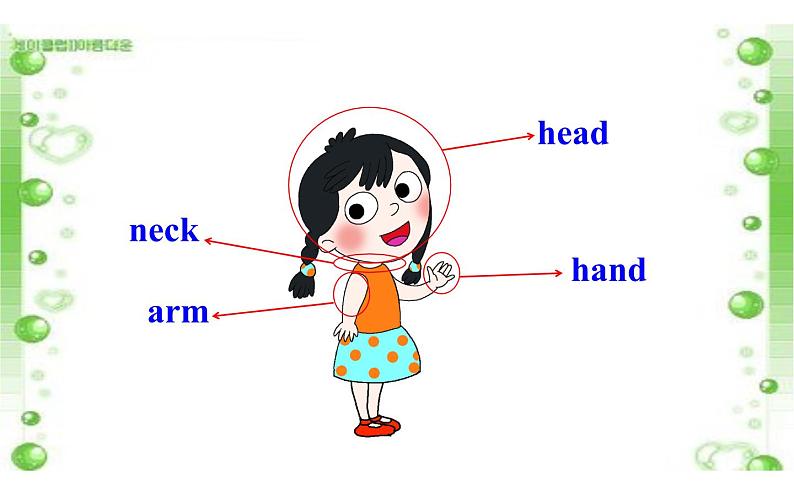 三年级上册英语课件-Unit3  Look at my nose. Lesson 17 人教精通版04