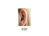 三年級(jí)上冊(cè)英語(yǔ)課件-Unit3  Look at my nose. Lesson 15 人教精通版