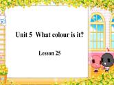 三年级上册英语课件-Unit5 What colour is it？  Lesson  25 人教精通版