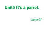 三年级下册英语课件-Unit5 It’s a parrot. Lesson 27 人教精通版