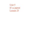 三年级下册英语课件-Unit5 It’s a parrot. Lesson 25人教精通版