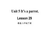 三年级下册英语课件-Unit5 It’s a parrot.  Lesson 29   人教精通版