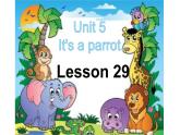 三年级下册英语课件-Unit5 It’s a parrot. Lesson 29人教精通版