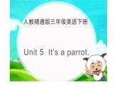 三年级下册英语课件-Unit5 It’s a parrot.   人教精通版