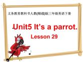 三年级下册英语课件-Unit5 It’s a parrot. Lesson 29   人教精通版