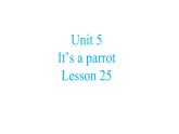 三年级下册英语课件-Unit5 It’s a parrot. Lesson  25人教精通版