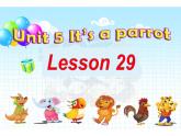 三年级下册英语课件-Unit5 It’s a parrot. Lesson 29 人教精通版