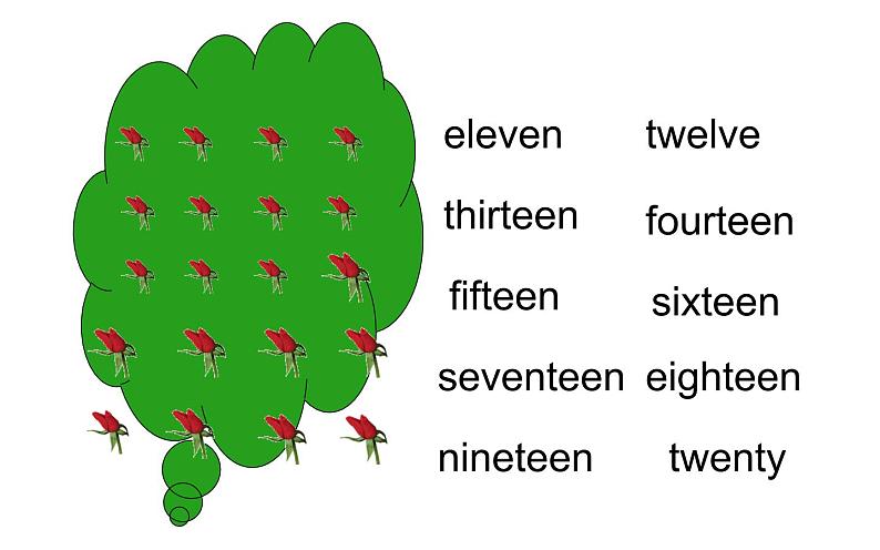 三年级英语下册课件-Unit 6 How many？Lesson 2-人教PEP版第2页