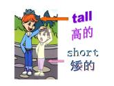 五年级英语上册课件-Unit 1  What’s he like？Period 1-人教PEP版