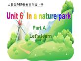 五年级英语上册课件-Unit6  In a nature  park Part A Let's learn-人教PEP版.
