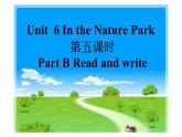 五年级英语上册课件-Unit6  In a nature  park Part B Read and write-人教PEP版.