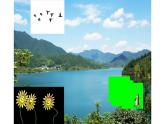 五年级英语上册课件-Unit6  In a nature  park B Let’s talk-人教PEP版.