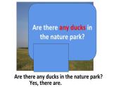 五年级英语上册课件-Unit6  In a nature  park B Let’s talk-人教PEP版.