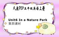 五年级上册Unit 6 In a nature park Part B多媒体教学课件ppt