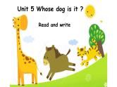 五年级英语下册课件-Unit 5    Whose dog  is  it ？Read and write-人教PEP版.