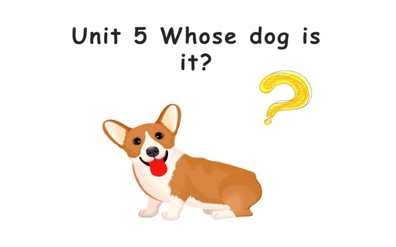 五年级英语下册课件-Unit 5    Whose dog  is  it ？ -人教PEP版.01