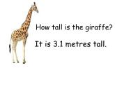 Unit 3 Lesson 14 Are You Short or Tall 課件+教案