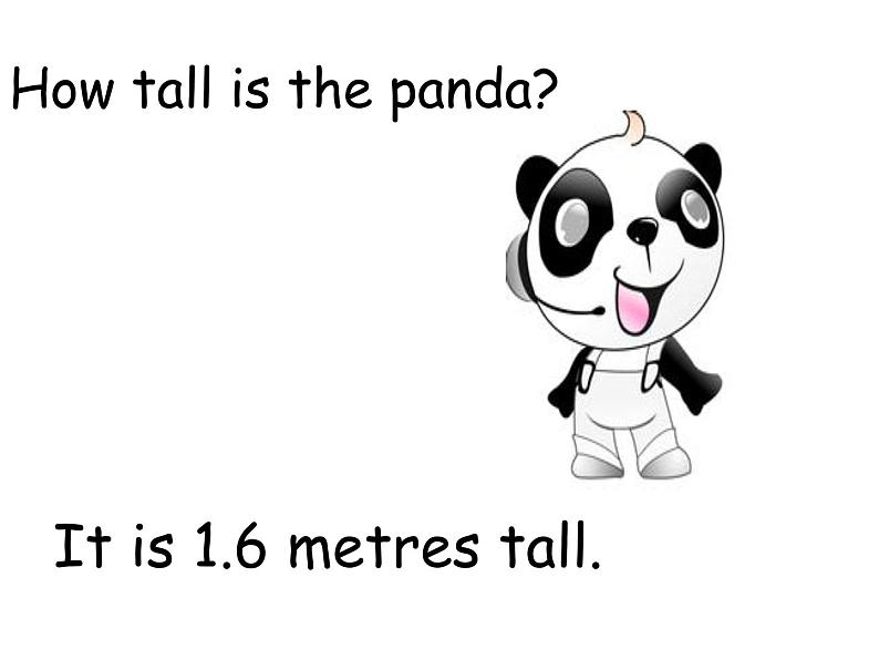 Unit 3 Lesson 14 Are You Short or Tall 课件+教案03
