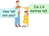 Unit 3 Lesson 14 Are You Short or Tall 課件+教案