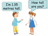 Unit 3 Lesson 14 Are You Short or Tall 課件+教案