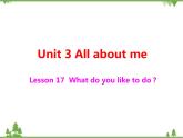 Unit 3 Lesson 17 What Do You Like to Do 課件+教案+習(xí)題