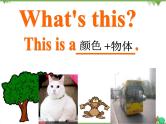 Unit 4 Lesson 19 My Favourite Colours 课件+教案+习题