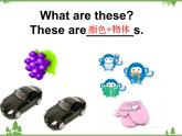 Unit 4 Lesson 19 My Favourite Colours 課件+教案+習(xí)題