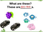 Unit 4 Lesson 19 My Favourite Colours 课件+教案+习题