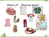 Unit 4 Lesson 20 My Favourite Clothes 课件+教案+习题